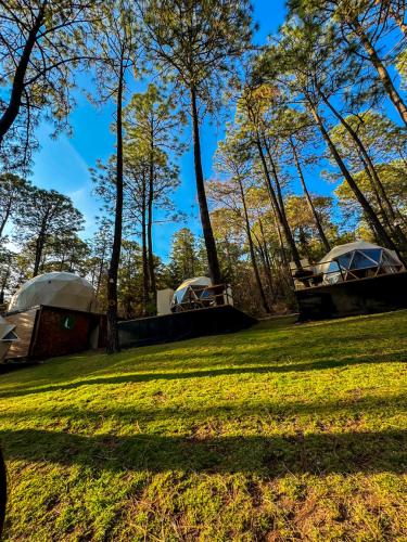 a group of tents in a field with trees at Luahara Glamping Tapalpa - Domo Natural Experience in Tapalpa