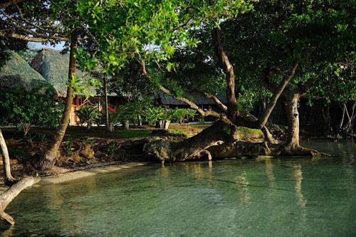 a body of water with trees and a river at Hotel Rancho Encantado in Bacalar