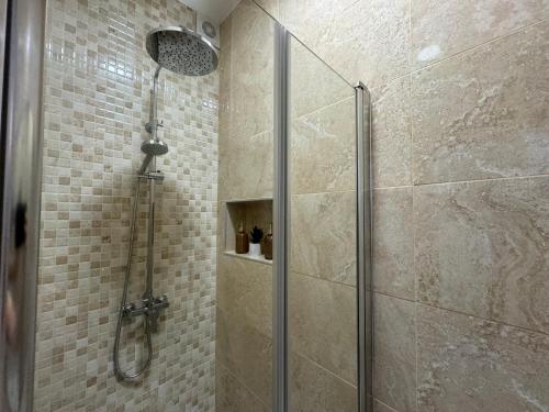 a shower in a bathroom with a glass shower stall at Apartamento Búho - Junto al Castillo in Antequera