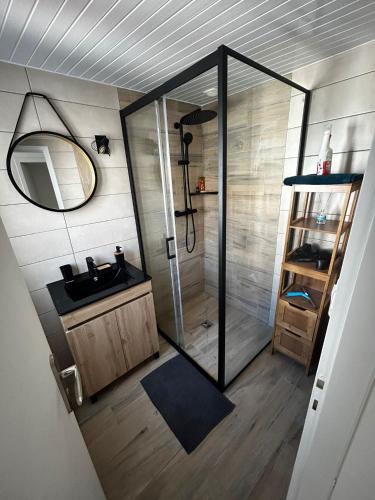 une salle de bain avec une douche avec un lavabo et un miroir dans l'établissement La trinquette, à Saint-Gilles-Croix-de-Vie
