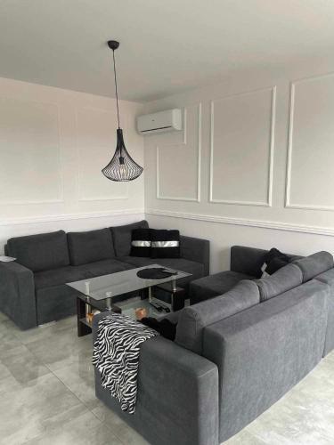 Poli House Premium
