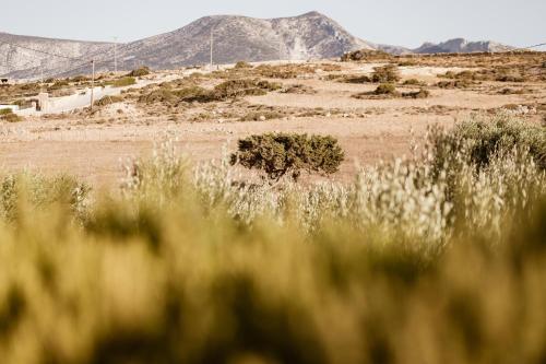 Fotografie z fotogalerie ubytování Cemilion v destinaci Koufonisia