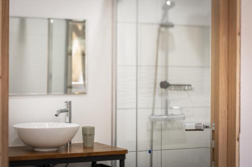 une salle de bain avec un lavabo et une douche dans l'établissement Venez Chez Vous Mountain View, à Montmin