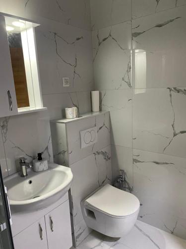 a white bathroom with a toilet and a sink at Seaside Susanj apartment in Bar