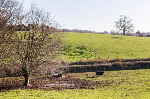 two cows grazing in a field with a tree at The Retreat, Sauna & Hot Tub, Charming & Cosy Gem in Blandford Forum