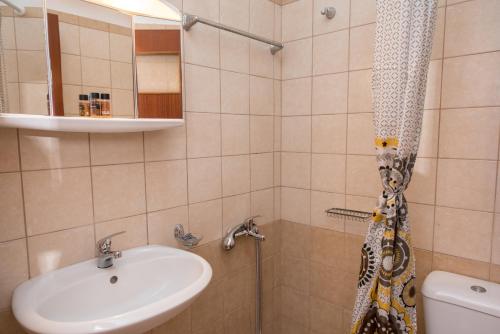 a bathroom with a sink and a shower at Elena Studios in Athanion