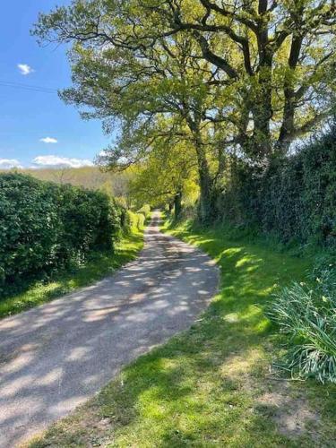 a road with trees on the side of a hill at Winters Farm Cottage in Mayfield