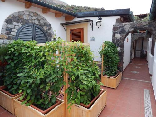a group of plants in boxes on a building at Casa Arcada in Vulcano