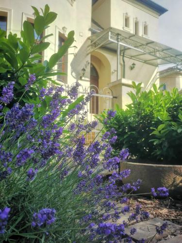 a garden with purple flowers in front of a building at Kúria Apartman Budapest with free parking in Budapest