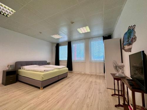 a bedroom with a bed and a tv in it at Kobra Room in Spielberg in Spielberg