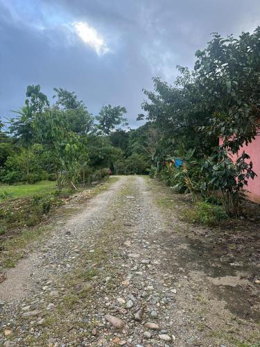 Gallery image of Kayak Hostel Ecuador in Archidona