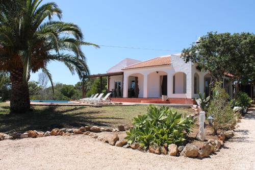 a house with a palm tree and a swimming pool at Villa Alegria - A Private, Cozy Retreat in Nature in Lagos