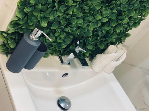 a green plant sitting on top of a bathroom sink at Adam Residence in Oradea