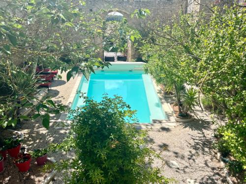une piscine dans un jardin arboré dans l'établissement château - Le panoramique avec piscine, à Cumiés