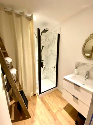 une salle de bain avec une douche, un lavabo et un miroir dans l'établissement Appartement cosy, à Quimper
