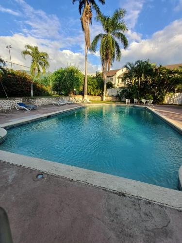 een groot zwembad met palmbomen en een huis bij The royal palm in Kingston