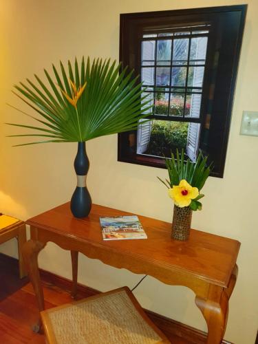 a table with a vase with a plant on it at The royal palm in Kingston