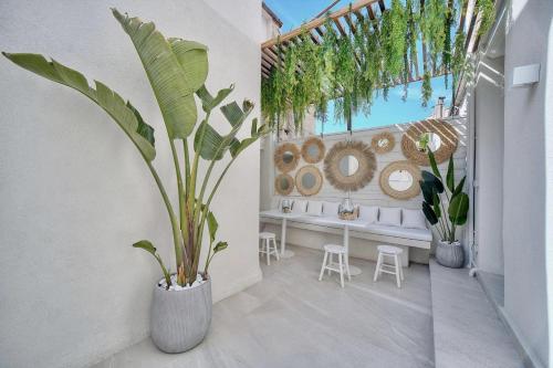 una stanza con una grande pianta in vaso sul muro di REF 1916 - Beautiful apartment for rent in Cannes a Cannes