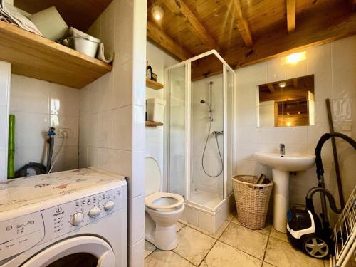 La salle de bains est pourvue d'une douche, de toilettes et d'un lavabo. dans l'établissement Chalet Le Buset - Grand chalet proche des pistes et du centre du village MAE-3044, à Crest-Voland