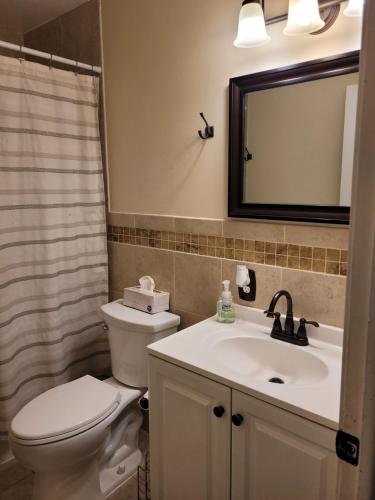 a bathroom with a toilet and a sink and a mirror at Cozy 6 bedroom home with Gameroom and Fire pit. in Rawsonville