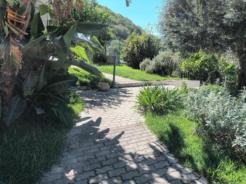 a brick walkway in a garden with plants at Il rosmarino in Ischia