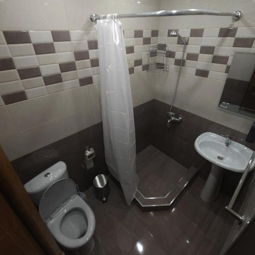 a bathroom with a toilet and a sink at Alpha Rest House in Ijevan