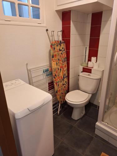 une salle de bain avec toilettes et lavabo dans l'établissement Bords de Loire hypercentre Orléans 2 personnes, à Orléans