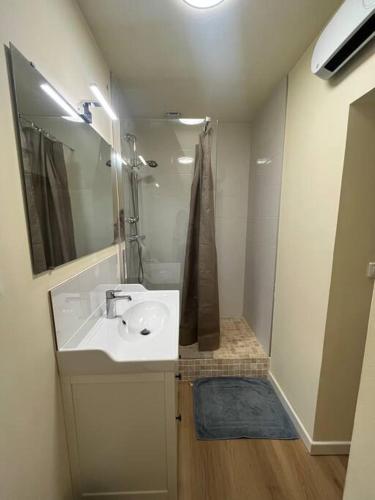 une salle de bain blanche avec un lavabo et une douche dans l'établissement Le Champêtre au cœur de la ville nîmoise, à Nîmes