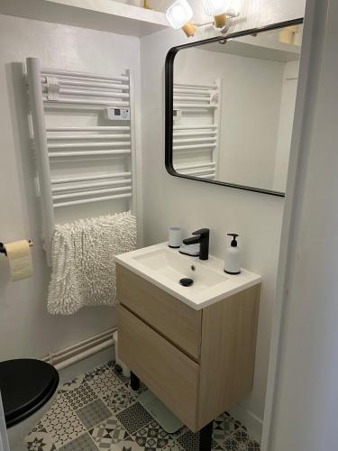 une salle de bain avec un lavabo et un miroir dans l'établissement Studio Le Grau du Roi - proche de la mer, au Grau-du-Roi