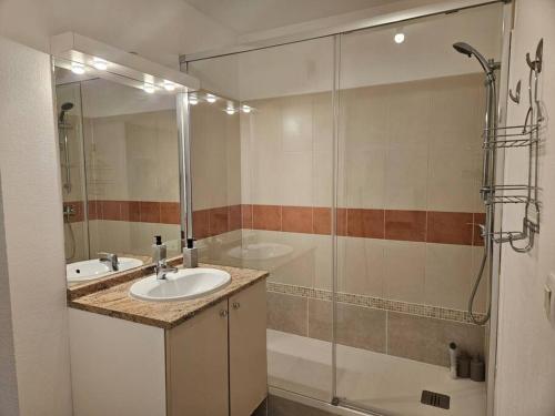 une salle de bain avec un lavabo et une douche dans l'établissement Appartment Garden Plazza jacuzzi privé, à Toulouse