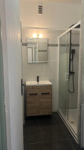 une salle de bain avec un lavabo et une douche dans l'établissement oliveraie, à Nice