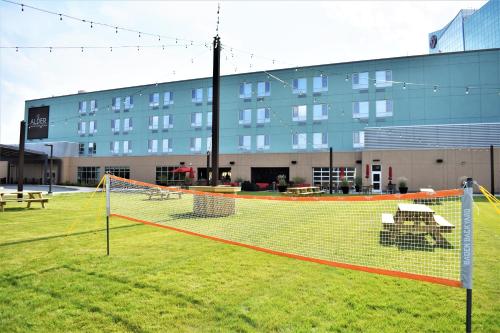 a net in a field in front of a building at The Alder in Monticello