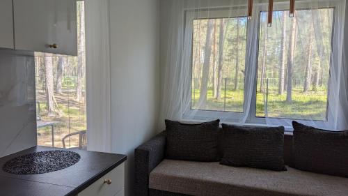 Φωτογραφία από το άλμπουμ του Pine forest house 8 σε Gauja