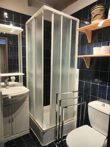 une salle de bain avec une douche, des toilettes et un lavabo dans l'établissement Résidence Grenada - Appartement 5 couchages LE BARCARES vue splendide sur lac marin MAE-1794, au Barcarès