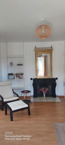 un salon avec un canapé et une cheminée dans l'établissement Maison LETRAT, à La Tour-du-Pin