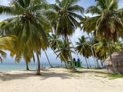 a group of palm trees on a beach with the ocean at Discovery Gunayar in Waisalatupo