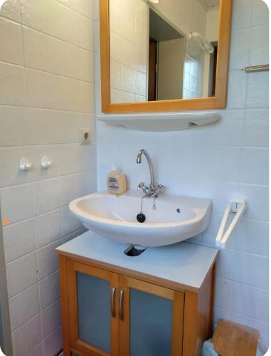 a bathroom with a sink and a mirror at Ferienhäuschen in Hildfeld in Winterberg