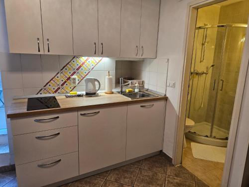 a small kitchen with a sink and a shower at Don Dolfino Guesthouse - Hiša Dolfinova vrata in Piran
