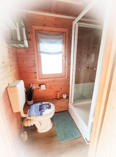 a small bathroom with a toilet and a shower at Ferienhaus Turner in Neustadt-Glewe