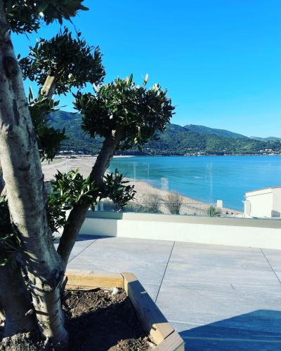 un arbre avec vue sur une étendue d'eau dans l'établissement Villa La Liscia, à Calcatoggio