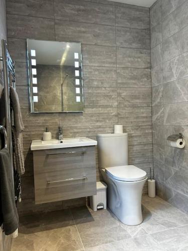 a bathroom with a toilet and a sink and a mirror at Kells Ocean View Luxury Retreat in Kilkeehagh