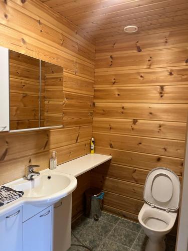 a bathroom with a sink and a toilet and wooden walls at Taljatie Apartments in Rovaniemi