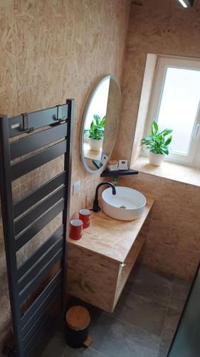 une salle de bain avec un lavabo et un miroir dans l'établissement Le Physalis gîte tout confort, à Orbey