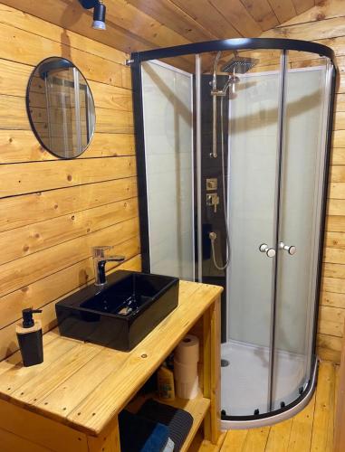 une salle de bain avec un lavabo et une douche dans l'établissement Charmante roulotte, à Collonges-lès-Premières