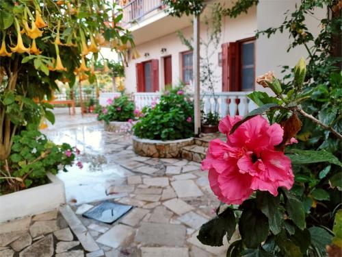 a garden with a pink flower in front of a house at Electra's Seaside in Agios Georgios