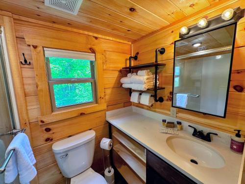 a bathroom with a toilet and a sink and a mirror at BMV7 Tiny Home village near Bretton Woods in Twin Mountain