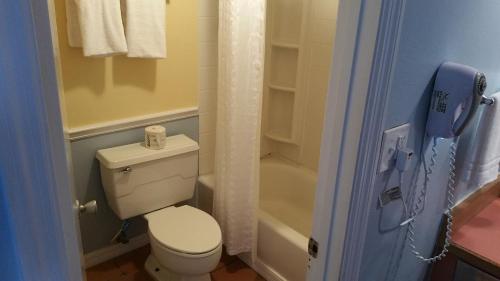 a bathroom with a toilet and a bath tub at Coral Sands Inn in Ormond Beach