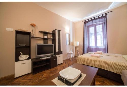 TV a/nebo společenská místnost v ubytování Perast apartman "Mika"