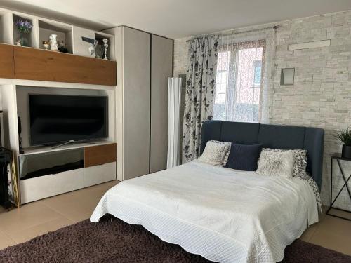 a bedroom with a bed with a tv and a bed sidx sidx sidx at The DREAM in Riva del Garda