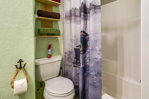 a bathroom with a toilet and a shower curtain at Cotter Home with Deck about 1 Mi to Big Spring Park! in Cotter